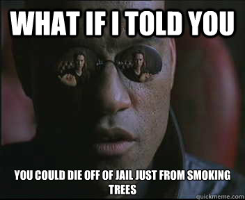 What if I told you You could die off of jail Just from smoking trees   Morpheus SC