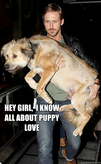 hey girl,  i know all about puppy love - hey girl,  i know all about puppy love  Hey girl happy birthday