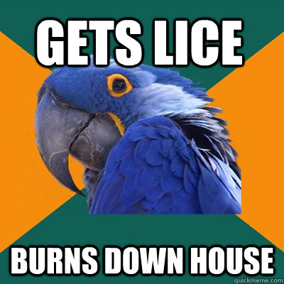 gets lice burns down house  Paranoid Parrot