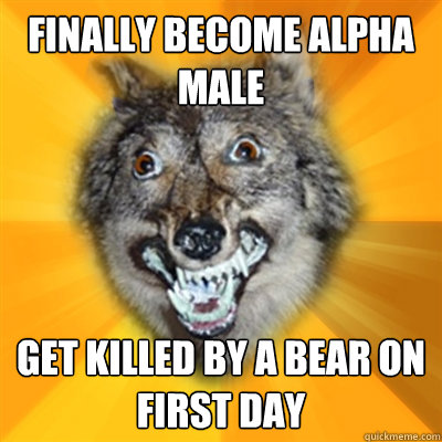 finally Become Alpha male get killed by a bear on first day  