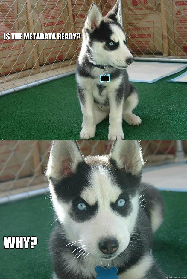 Is the metadata ready? why?  Insanity puppy