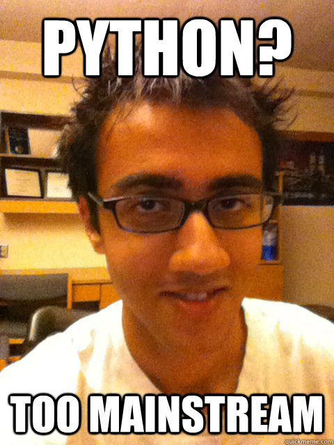 python? too mainstream - python? too mainstream  Hipster Programmer Waseem