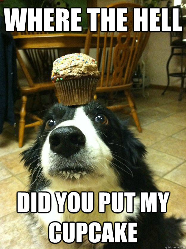 WHERE THE hell DID YOU PUT MY CUPCAKE - WHERE THE hell DID YOU PUT MY CUPCAKE  Misc