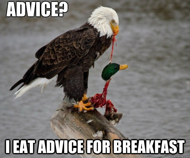 advice? i eat advice for breakfast  