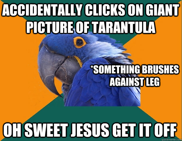 accidentally clicks on giant picture of tarantula *something brushes against leg oh sweet jesus get it off  Paranoid parrot flat tire