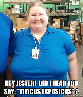  Hey jester!  Did I hear you say: 