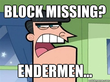 Block missing? endermen...   Dinkleberg