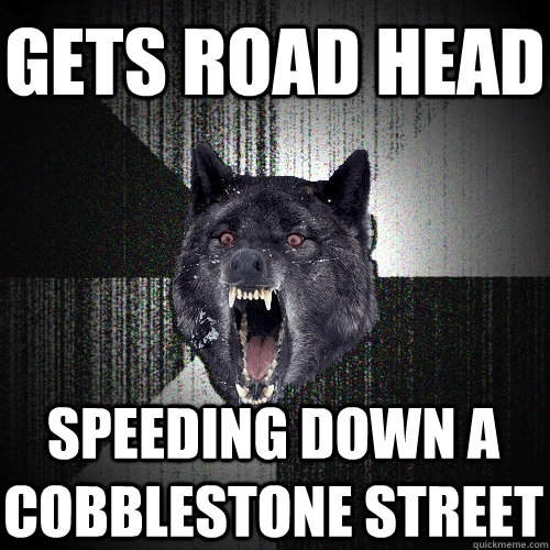 gets road head speeding down a cobblestone street  Insanity Wolf