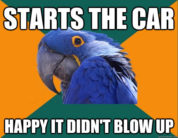 Starts the car Happy it didn't blow up  Paranoid parrot flat tire