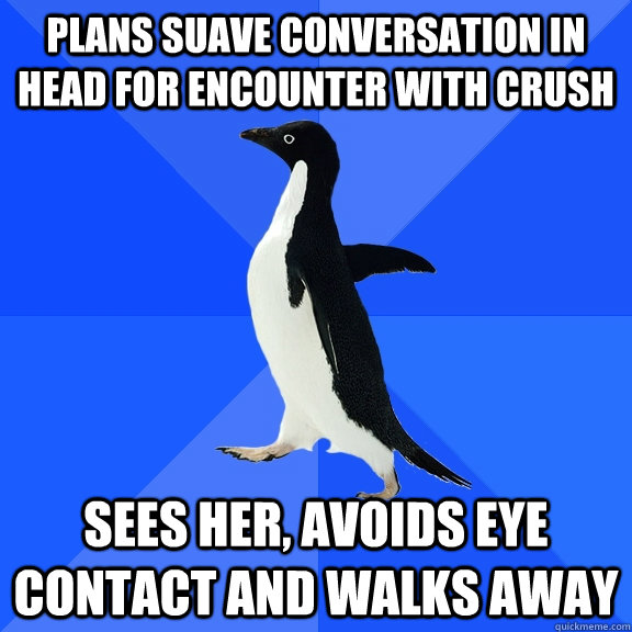 plans suave conversation in head for encounter with crush sees her, avoids eye contact and walks away  Socially Awkward Penguin