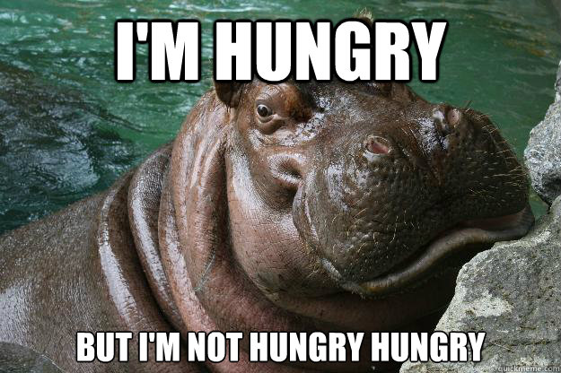 I'm hungry but I'm not hungry hungry   Hungry Hippo