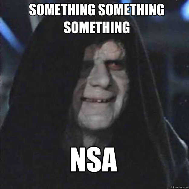 Something Something Something NSA   