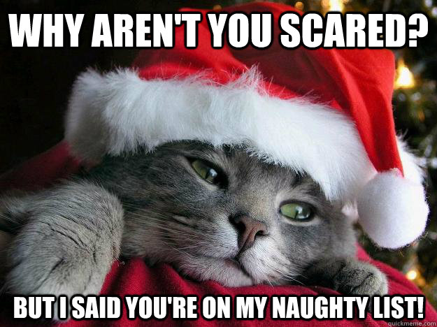 Why aren't you scared? But I said you're on my naughty list! - Why aren't you scared? But I said you're on my naughty list!  Sad Santa Cat