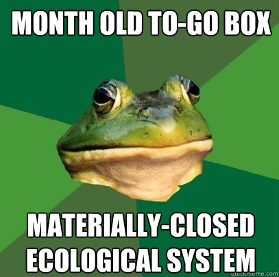 month old to-go box materially-closed ecological system  Foul Bachelor Frog