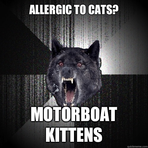 Allergic to cats? Motorboat kittens  Insanity Wolf