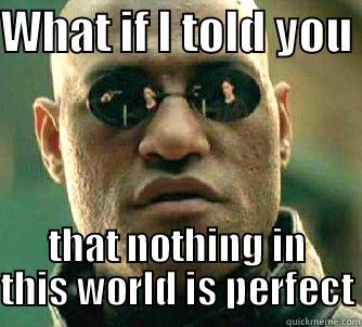 WHAT IF I TOLD YOU  THAT NOTHING IN THIS WORLD IS PERFECT Matrix Morpheus
