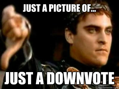 Just a picture of... Just a Downvote  Downvoting Roman