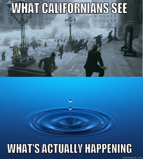 CA Rain -   WHAT CALIFORNIANS SEE    WHAT'S ACTUALLY HAPPENING  Misc