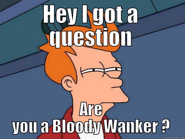 I got a Question - HEY I GOT A QUESTION ARE YOU A BLOODY WANKER ? Futurama Fry