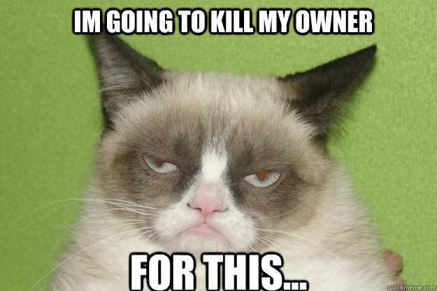 im going to kill my owner for this... - im going to kill my owner for this...  GrumpyCat1