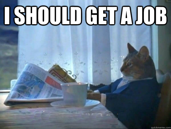 I should get a job   morning realization newspaper cat meme