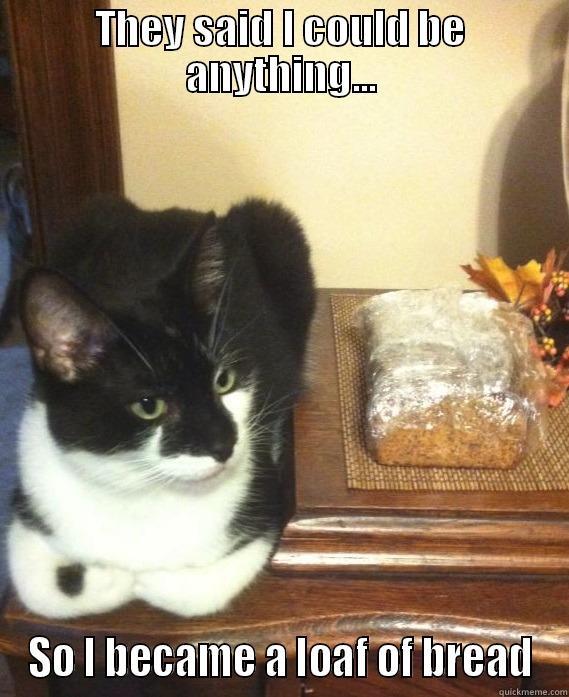 Cat is bread. Illuminati. - THEY SAID I COULD BE ANYTHING... SO I BECAME A LOAF OF BREAD Misc