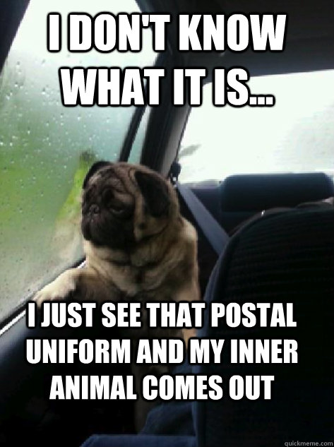 I don't know what it is... i just see that postal uniform and my inner animal comes out  Introspective Pug