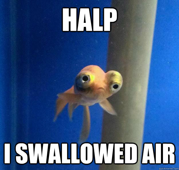 Halp i swallowed air - Derp Fish - quickmeme.