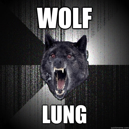 WOLF LUNG  Insanity Wolf