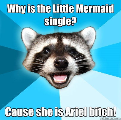 Why is the Little Mermaid single? Cause she is Ariel bitch!  Lame Pun Coon