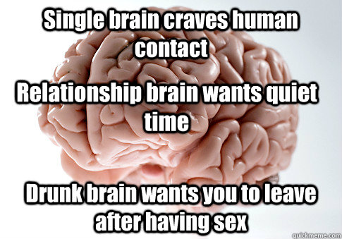 Single brain craves human contact Drunk brain wants you to leave after having sex Relationship brain wants quiet time  Scumbag Brain