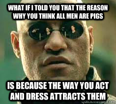 what if i told you that the reason why you think all men are pigs is because the way you act and dress attracts them - what if i told you that the reason why you think all men are pigs is because the way you act and dress attracts them  Misc
