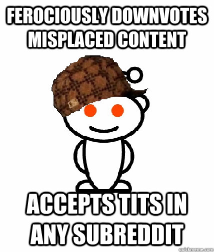 ferociously downvotes misplaced content accepts tits in any subreddit - ferociously downvotes misplaced content accepts tits in any subreddit  Scumbag Reddit