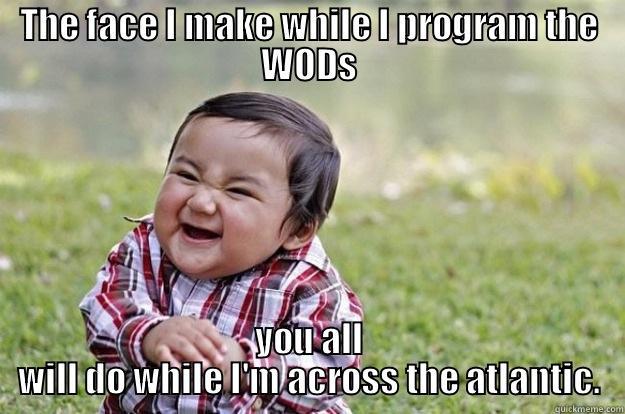 Evil Programmer - THE FACE I MAKE WHILE I PROGRAM THE WODS YOU ALL WILL DO WHILE I'M ACROSS THE ATLANTIC. Evil Toddler