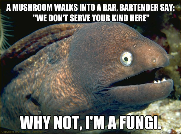 A mushroom walks into a bar, Bartender say:
 