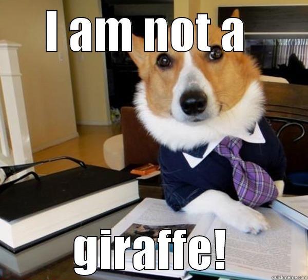 I AM NOT A  GIRAFFE! Lawyer Dog