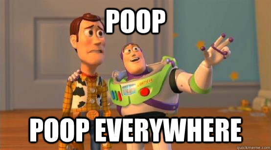 poop poop everywhere  Buzz Glitter