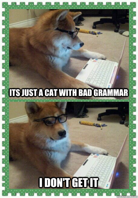 Its just a cat with bad grammar I don't get it  