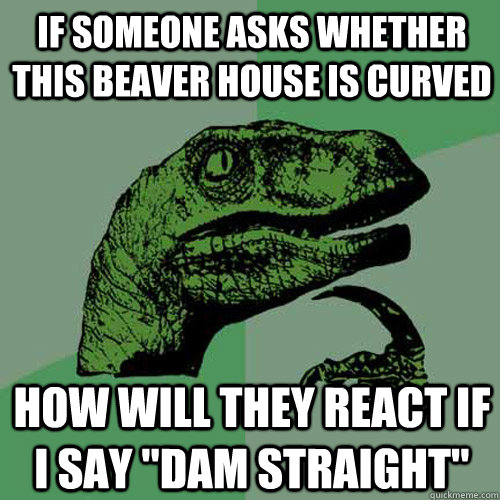 if someone asks whether this beaver house is curved How will they react if i say 