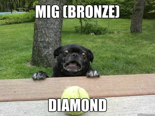 Mig (bronze) diamond   Berks Dog