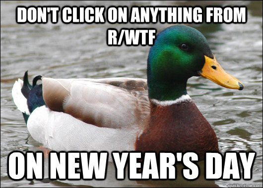 Don't click on anything from r/WTF On New Year's Day  Actual Advice Mallard