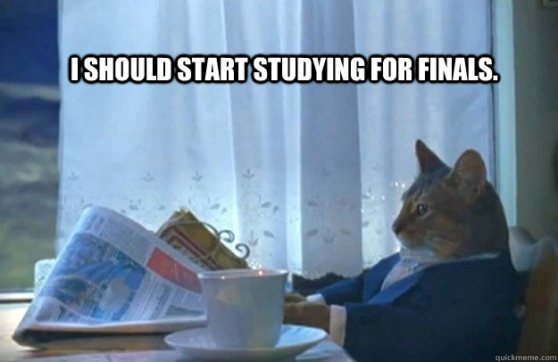 I should start studying for finals.  Sophisticated Cat