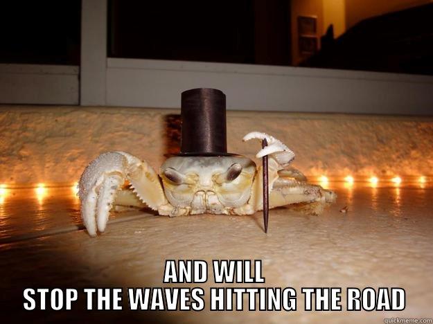 THE 1% THAT THINKS THE ROCK WALL IS ATTRACTIVE AND WILL STOP THE WAVES HITTING THE ROAD Fancy Crab