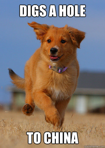 digs a hole to china  Ridiculously Photogenic Puppy