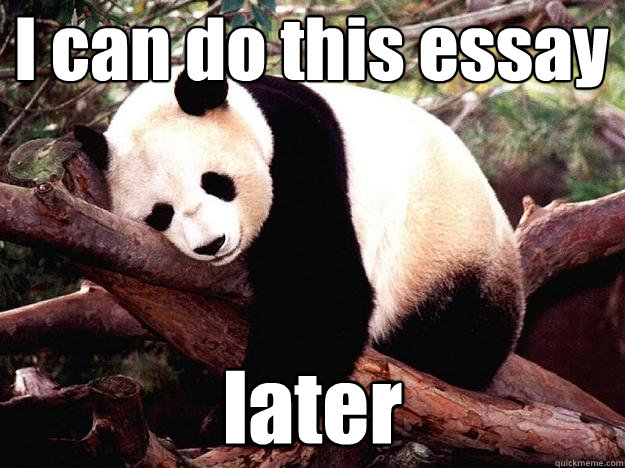 I can do this essay later  Procrastination Panda