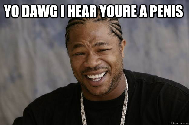 YO DAWG I HEAR YOURE a penis  - YO DAWG I HEAR YOURE a penis   Xzibit meme