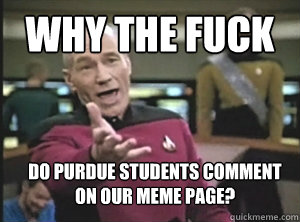 why the fuck Do purdue students comment on our meme page?  Annoyed Picard