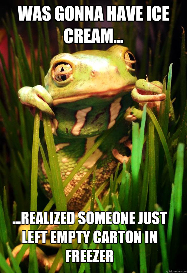 was gonna have ice cream... ...realized someone just left empty carton in freezer  - was gonna have ice cream... ...realized someone just left empty carton in freezer   Bout2cry Frog
