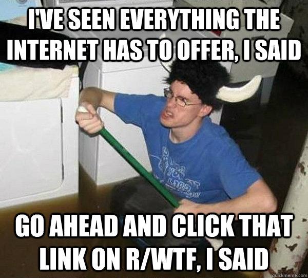 I've seen everything the internet has to offer, I said go ahead and click that link on r/wtf, I said  They said