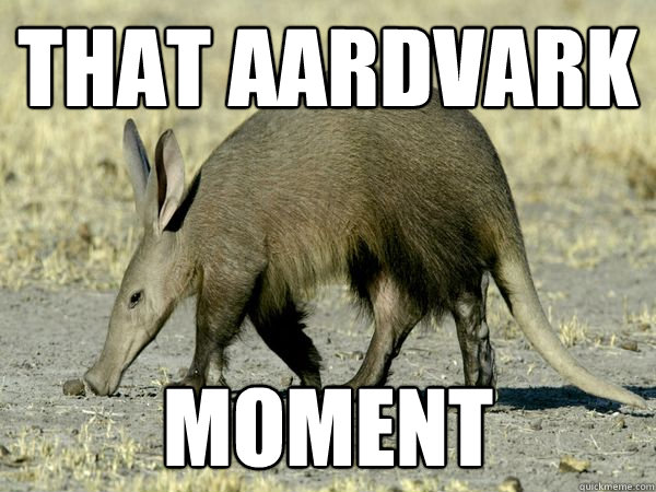 that aardvark moment  That aardvark moment